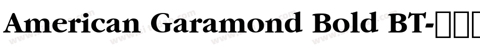 American Garamond Bold BT字体转换